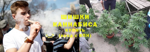 шишки Абинск