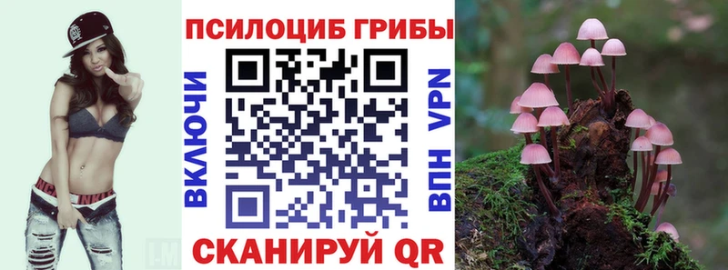 МЕГА зеркало  Тырныауз  Галлюциногенные грибы прущие грибы  наркотики 