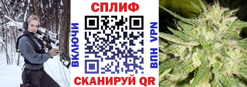 Конопля Ganja  Тырныауз 